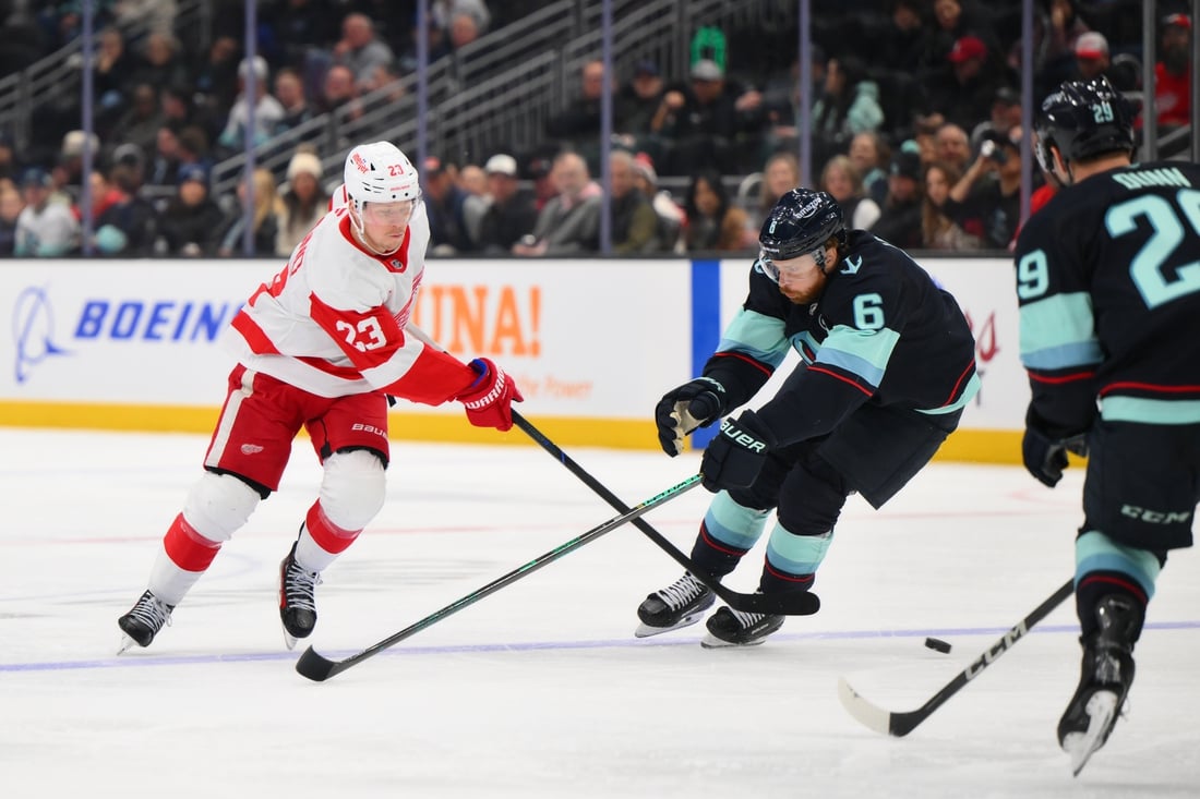 Detroit Red Wings vs Anaheim Ducks